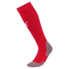Home Sock
